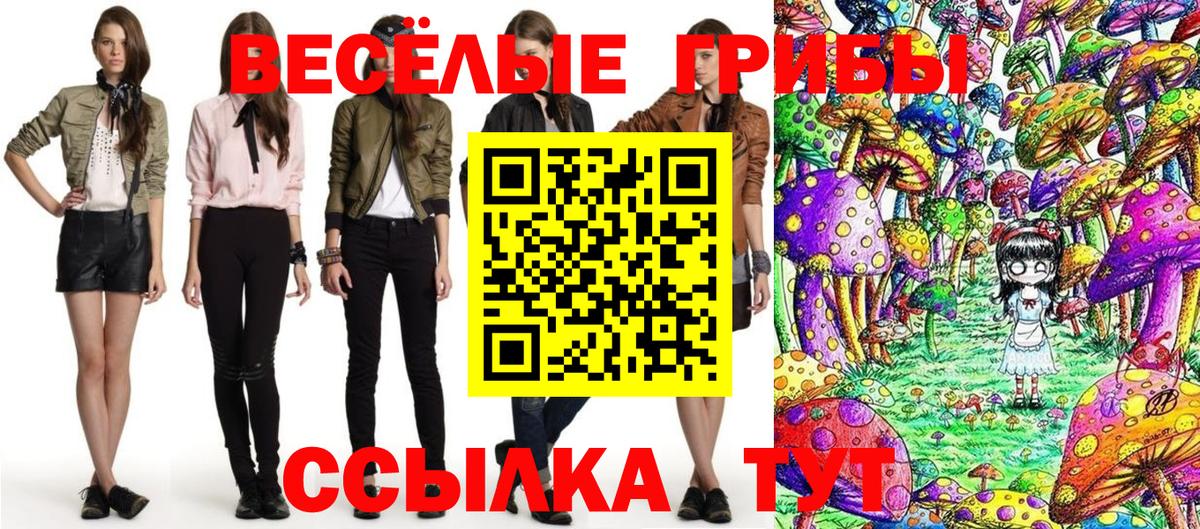 Галлюциногенные грибы Cubensis  Вход с VPN  Североуральск 